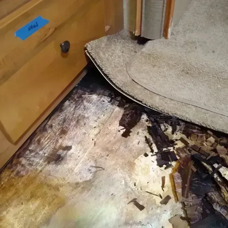 Wood Floor Water Damage in Central Gardens, TX